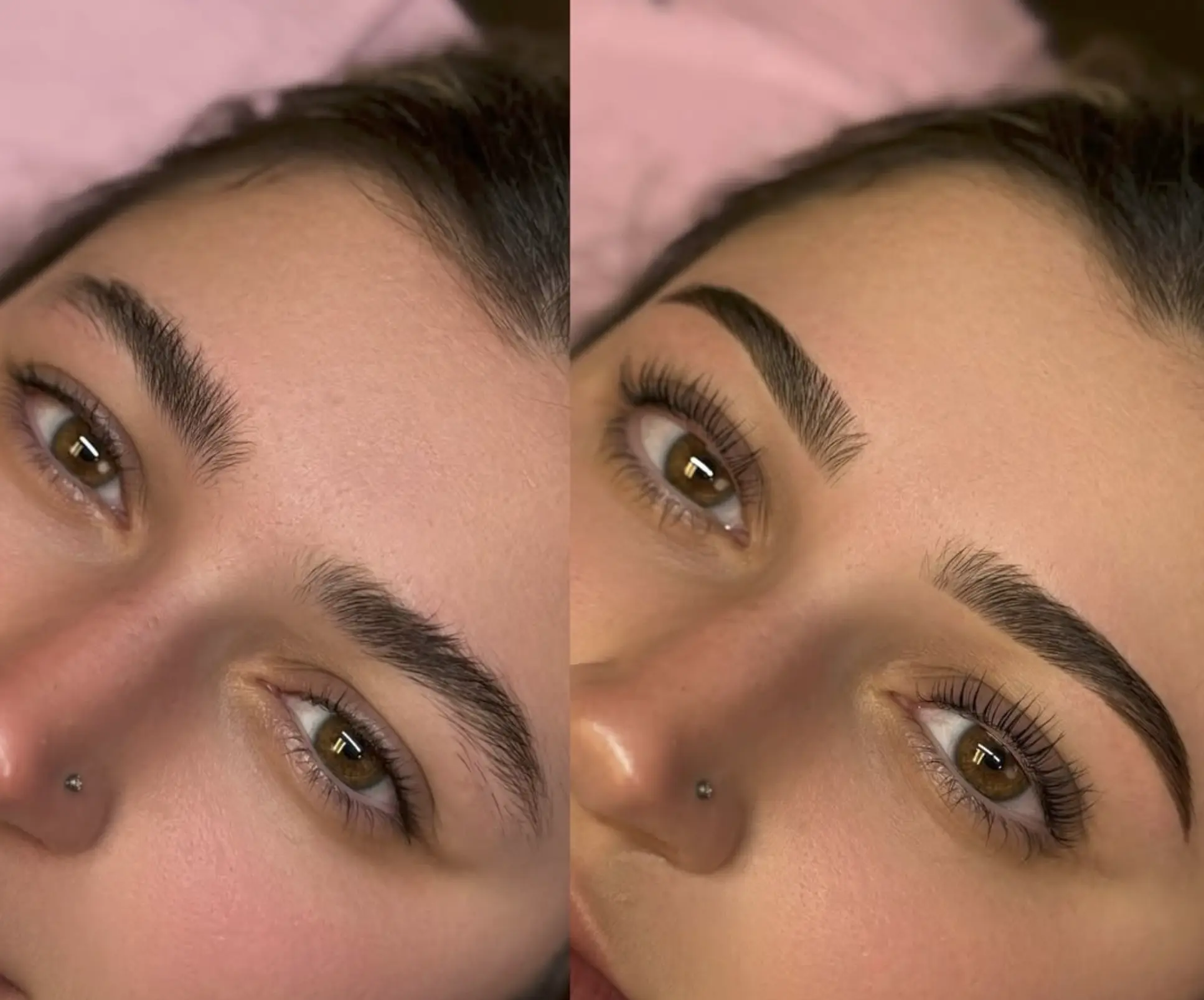 ardell brow tint
