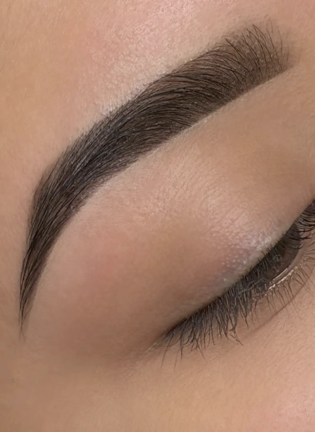 brow tint and wax