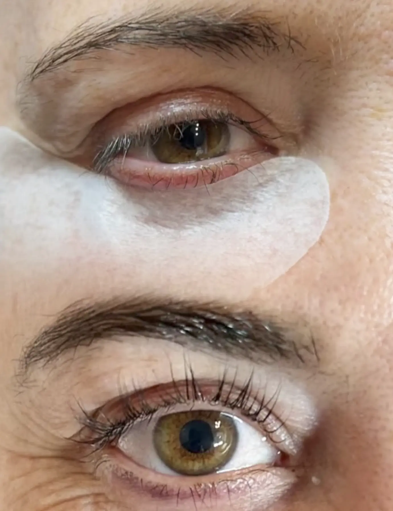 brow tint light brown
