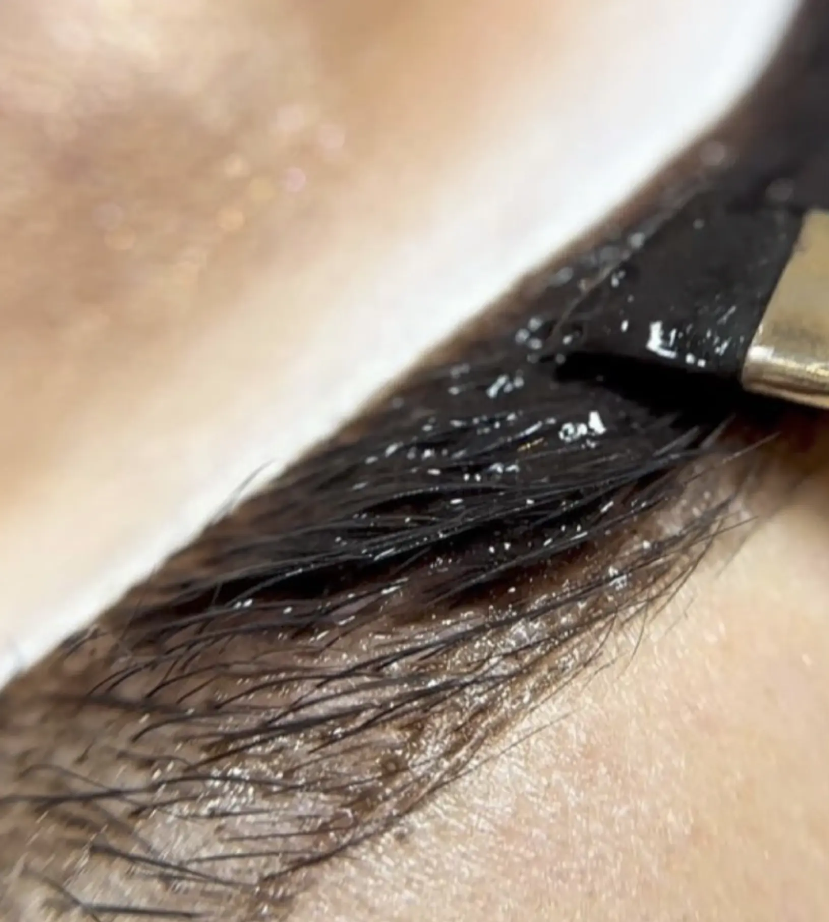 brow tint on dark brows