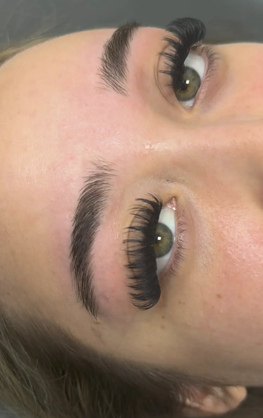 brow tint refectocil