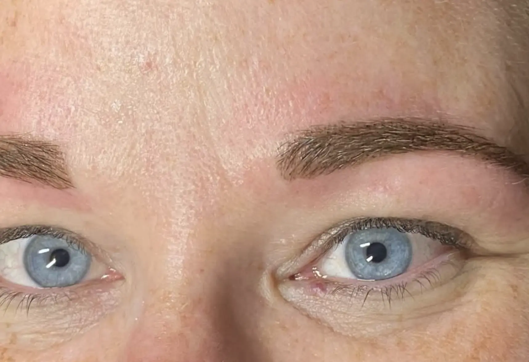 brow tint southland