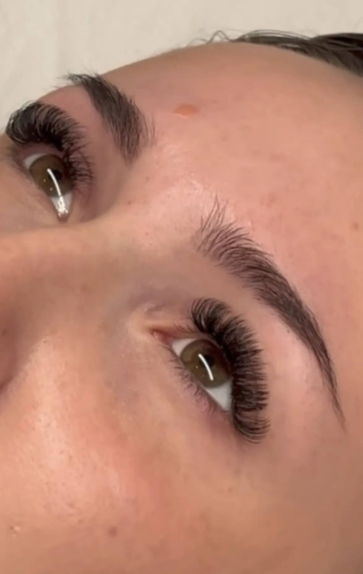 eye brow tint