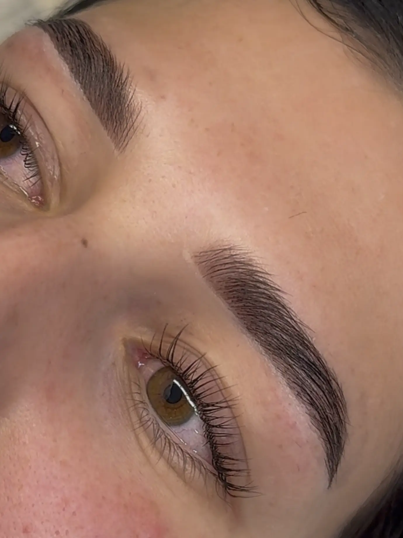 eyebrow tint 1000 hour