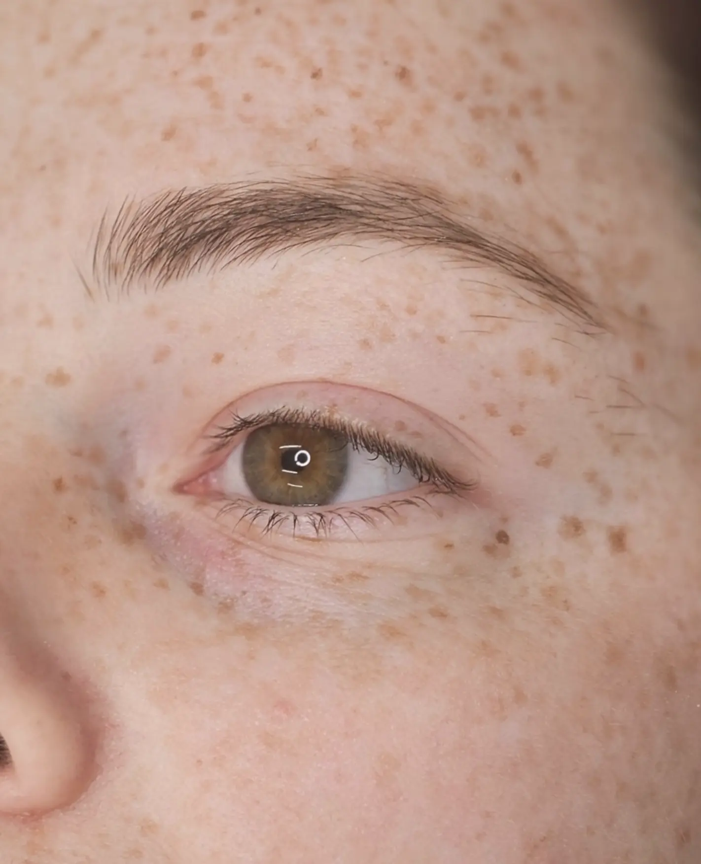 eyebrow tint australia