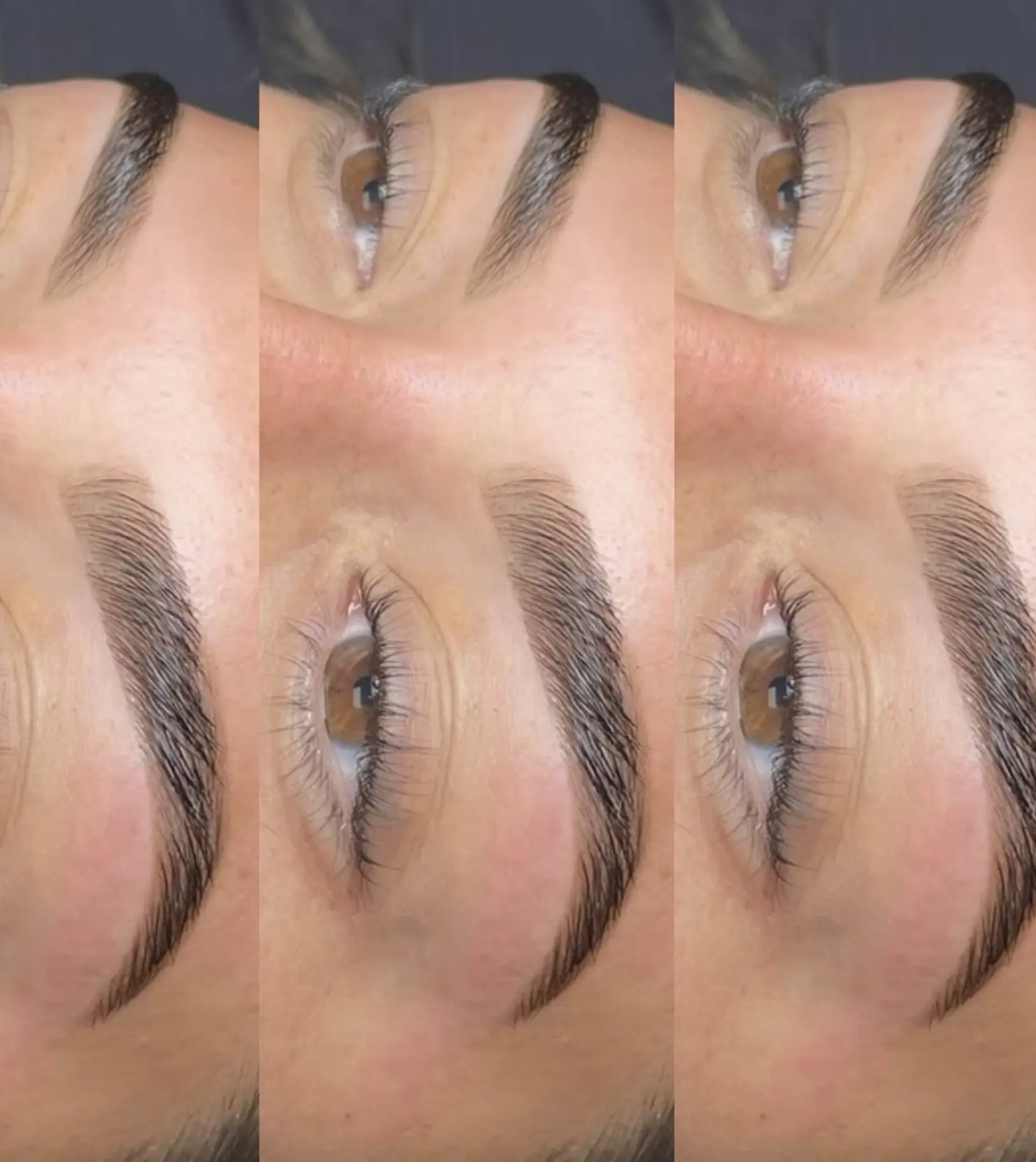 eyebrow tint coles