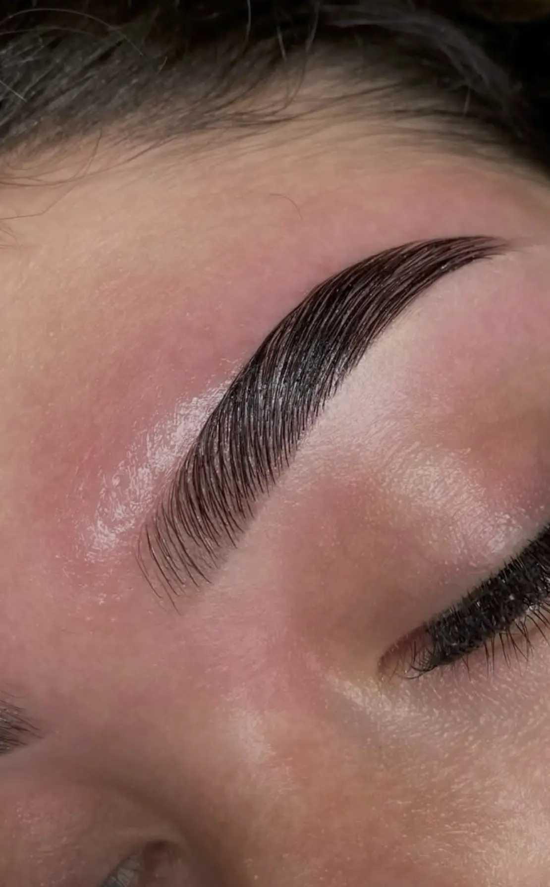 lash and brow tint