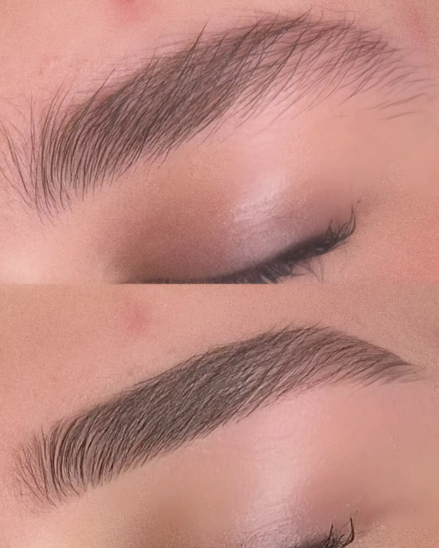 t brows